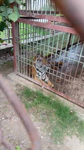 عکس باغ وحش بابلسر