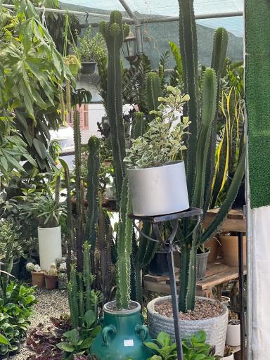 عکس کافه گل