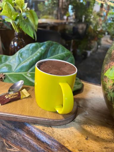 عکس کافه گل