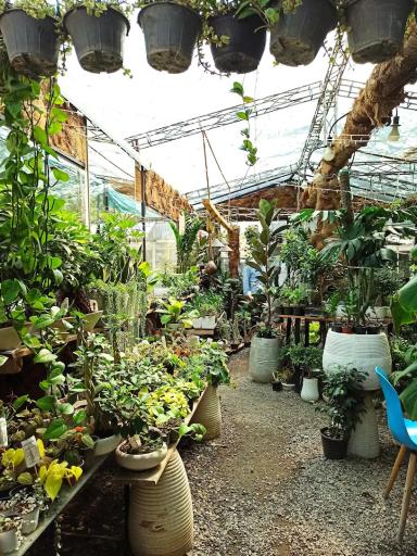 عکس کافه گل