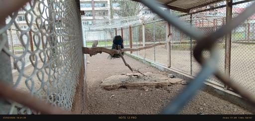 عکس باغ وحش بابلسر