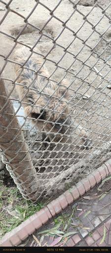 عکس باغ وحش بابلسر