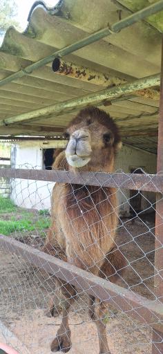 عکس باغ وحش بابلسر