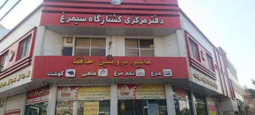 عکس هایپر پروتئین حافظ
