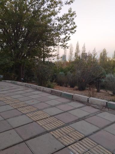 عکس بوستان اقاقیا