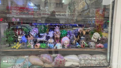 عکس آکواریوم آمازون