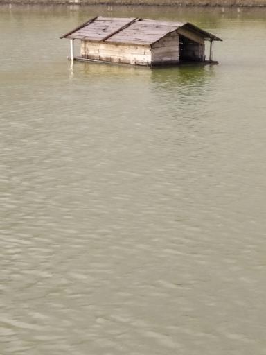 عکس دریاچه شاپوری