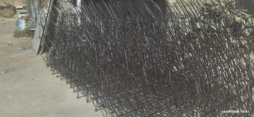 عکس حفاظ شاخ گوزنی نظرآباد