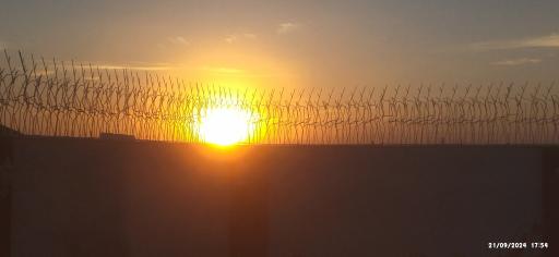 عکس حفاظ شاخ گوزنی نظرآباد