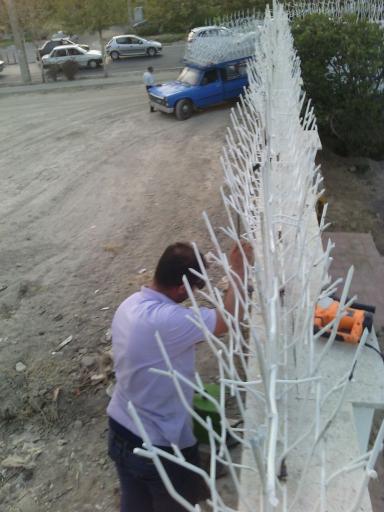 عکس حفاظ شاخ گوزنی نظرآباد