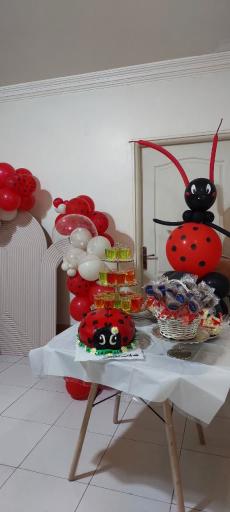 عکس خانه بازی کفشدوزک 