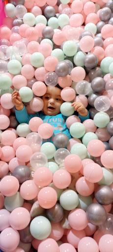 عکس خانه بازی کفشدوزک 