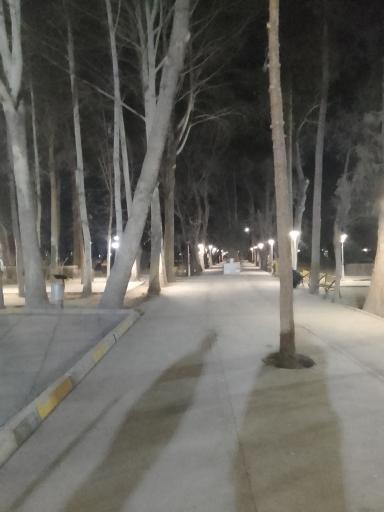 عکس پارک ملت چناران