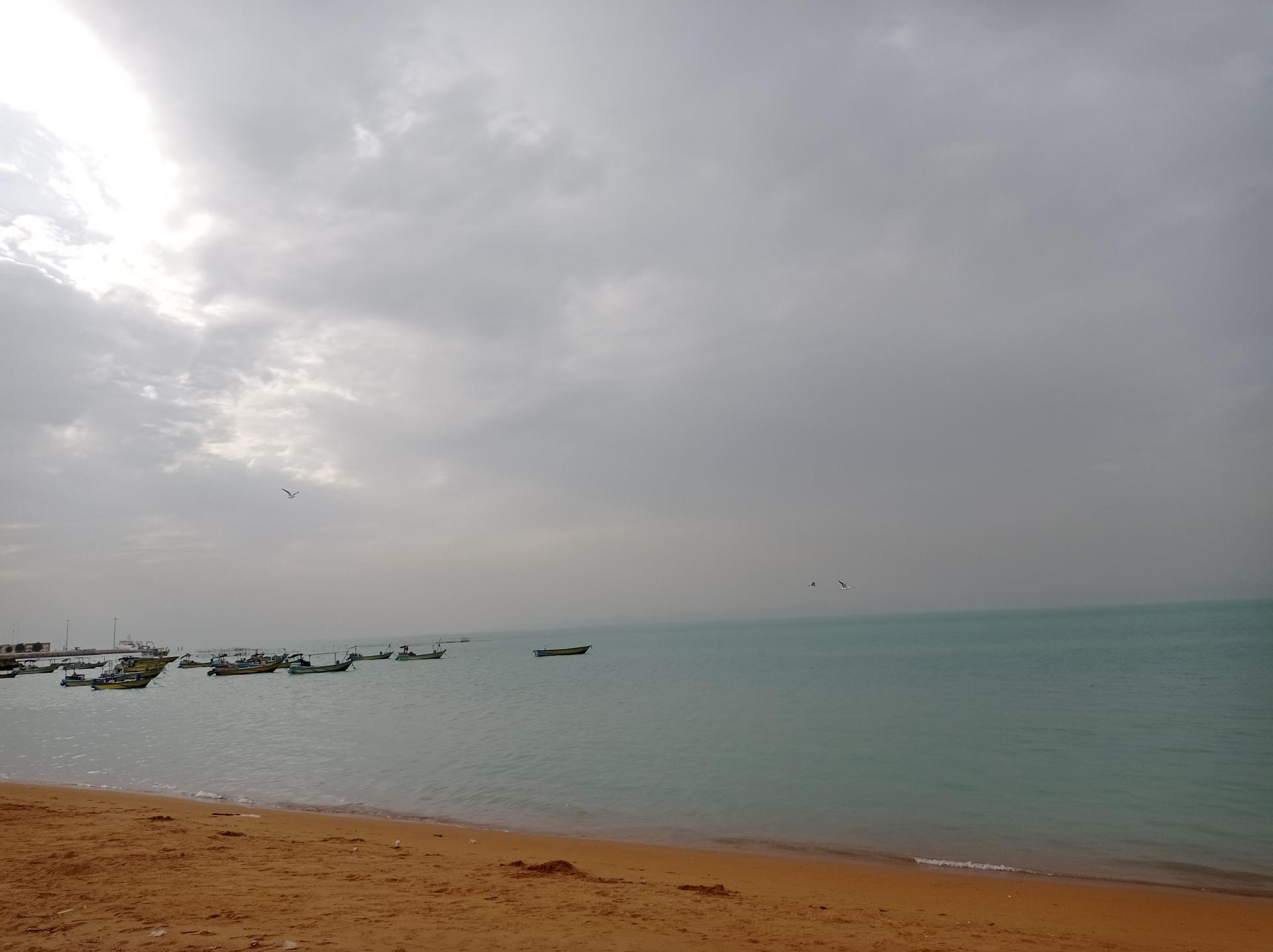 عکس بوستان کیش