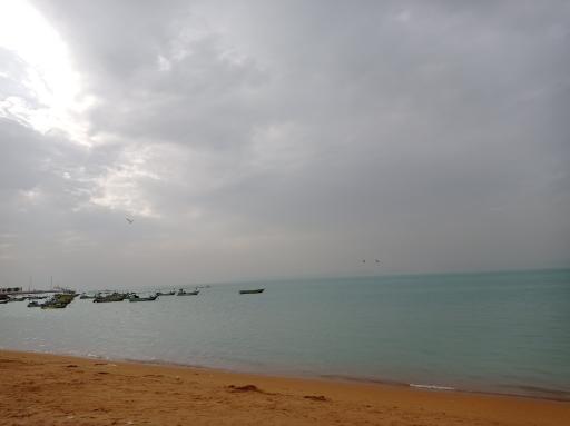 عکس بوستان کیش