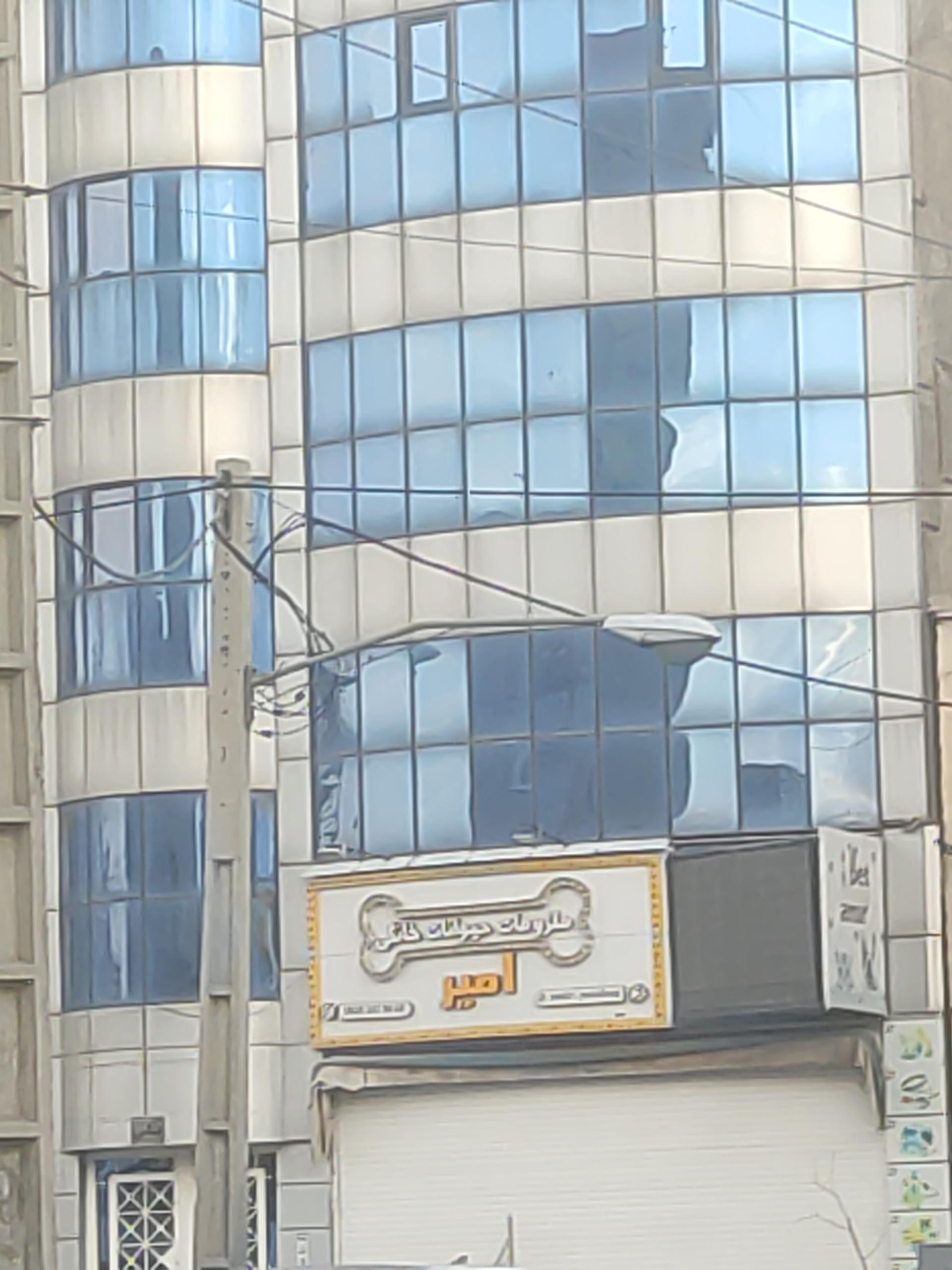 عکس پت‌شاپ امیر