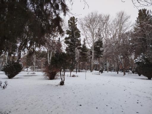 عکس پارک ملت چناران