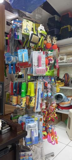 عکس پت‌شاپ امیر