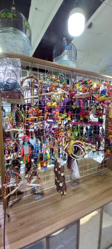 عکس پت‌شاپ امیر