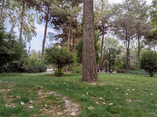 عکس پارک ملت چناران