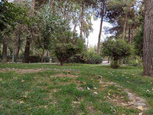 عکس پارک ملت چناران