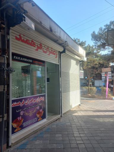 عکس زعفران فرهمند