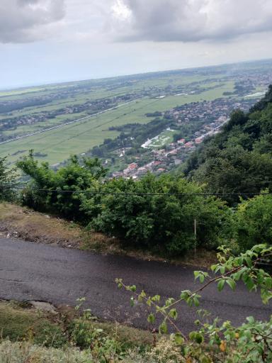 عکس لیلا کوه