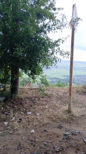 عکس لیلا کوه