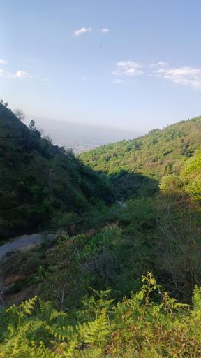عکس لیلا کوه