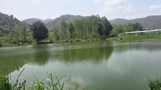 عکس لیلا کوه