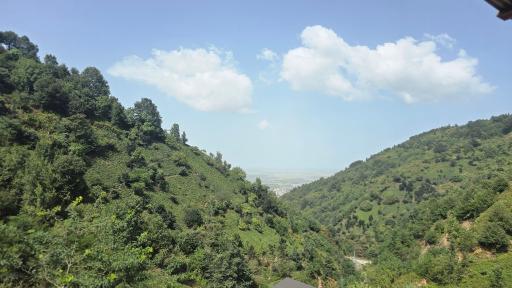 عکس لیلا کوه