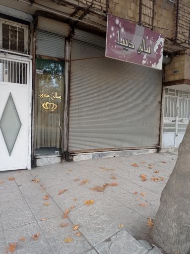 عکس سالن زیبایی دیبا