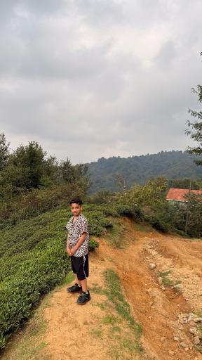 عکس لیلا کوه