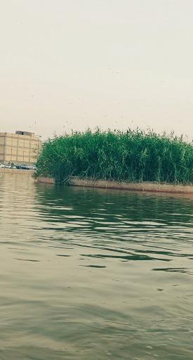 عکس دریاچه شاپوری