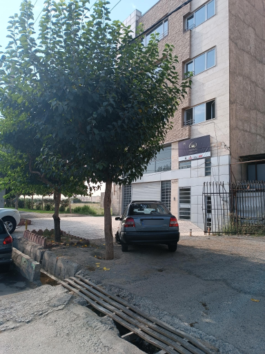 عکس دفتر زرنگار پخش پایتخت