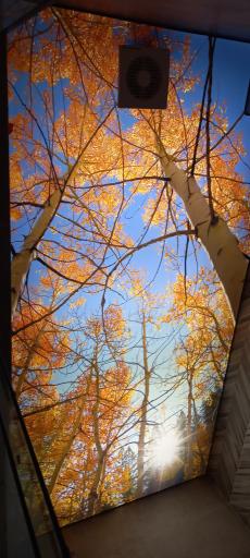 عکس دکور شمالی ۷۲