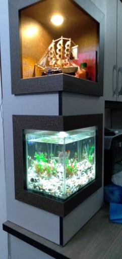 عکس آکواریوم آمازون