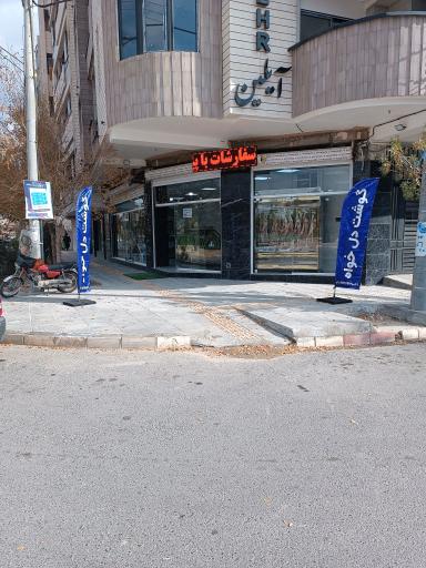 عکس مرغ و گوشت دلخواه