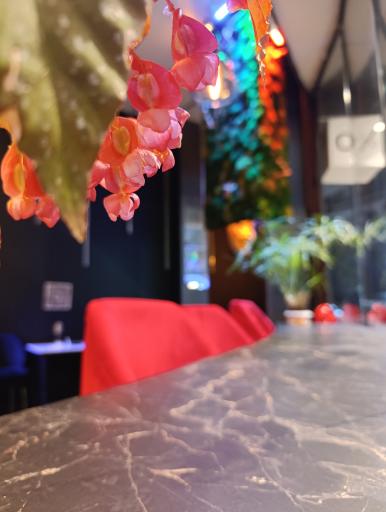 عکس کافه مانژه 