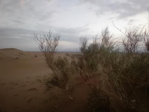 عکس کمپ گردشگری کویر سیازگه