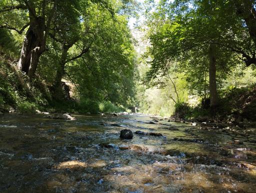 عکس پیرانشهر