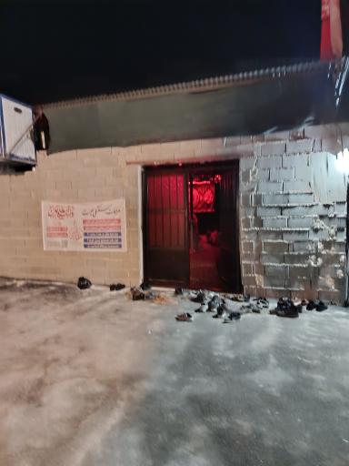 عکس حسینه ریحانه الحسین (ع)