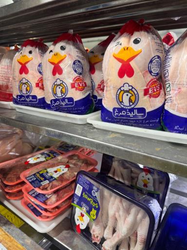 عکس پروتئین محمدی(مرغ و گوشت)