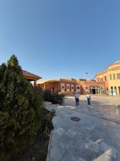 عکس میلک خاتون