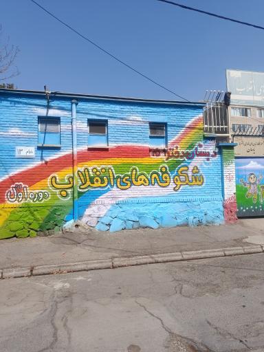عکس دبستان شکوفه های انقلاب