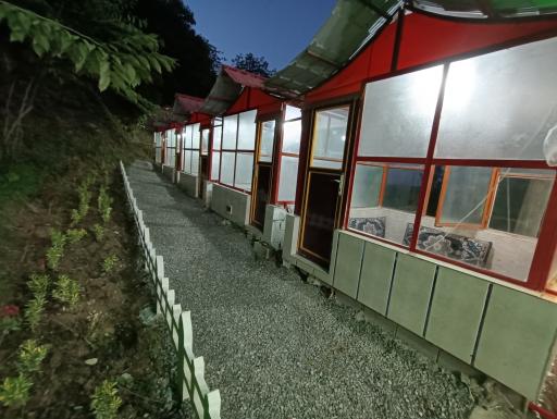 عکس رستوران برج میرزا 