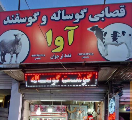 سوپر گوشت گوساله آوا 