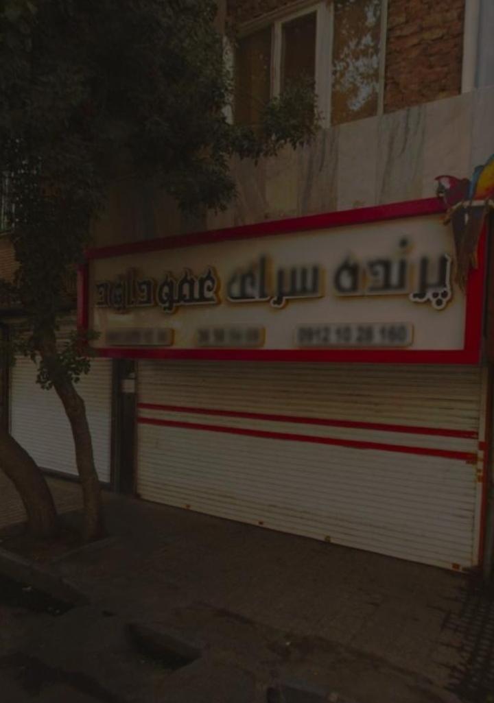 عکس پرنده فروشی عمو داوود