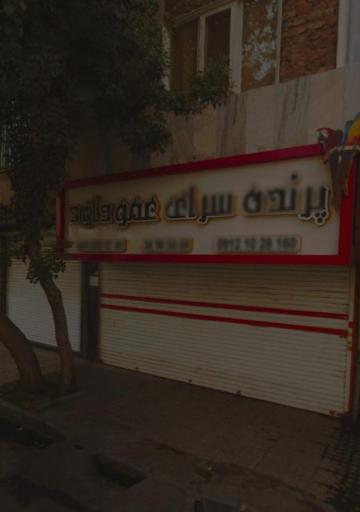 عکس پرنده فروشی عمو داوود