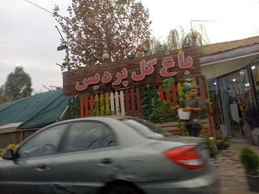 عکس باغ گل پردیس